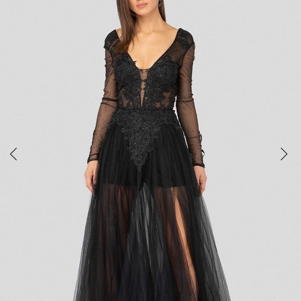 Long sleeve illusion gown